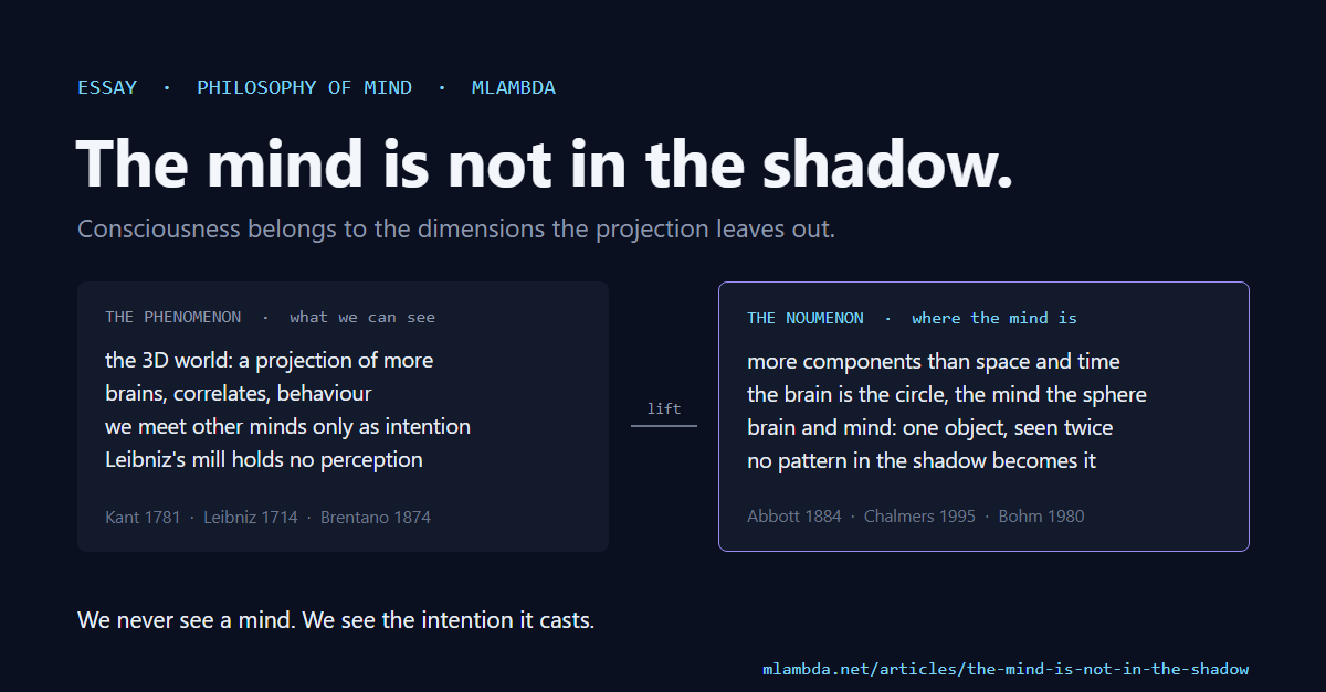 The mind is not in the shadow — the phenomenon, a three-dimensional projection, and the noumenon, the larger reality that consciousness belongs to.