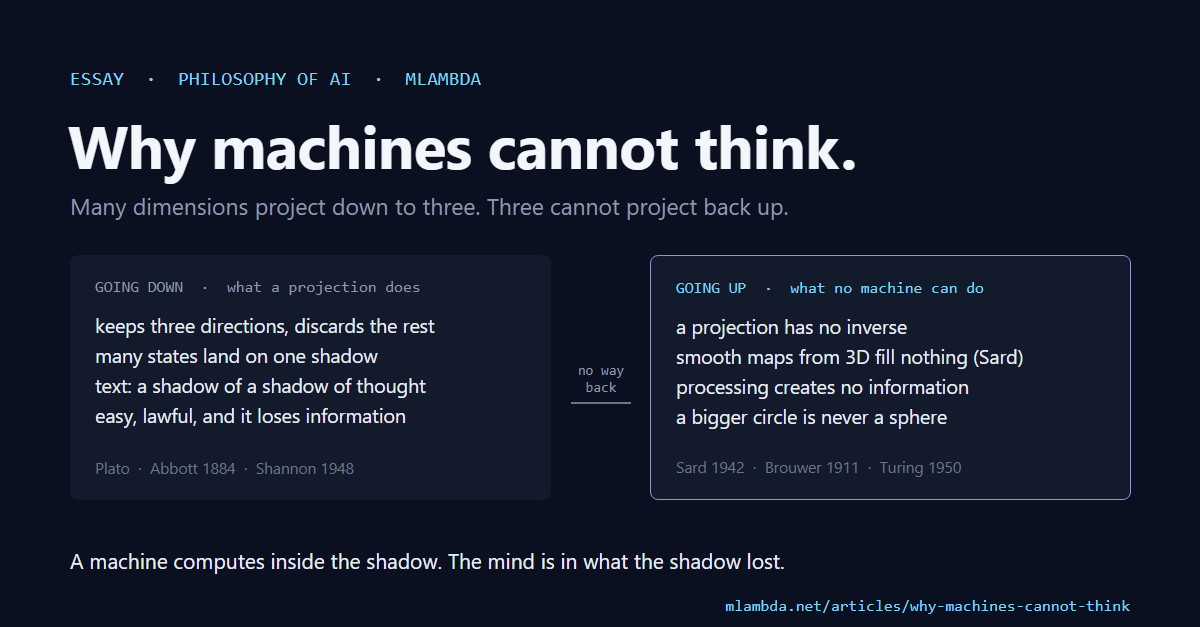 Why machines cannot think — many dimensions project down to three; three cannot be projected back up to many.